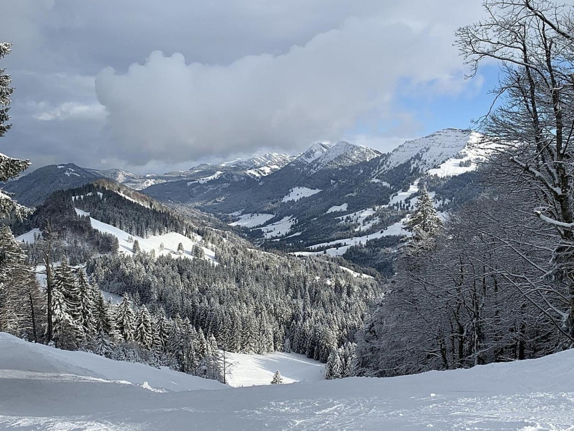 Appartement Nr 19, Alpenappartementhaus, Oberstaufen-Steibis, Allgaeu, Oberstaufen Plus Eksteriør bilde