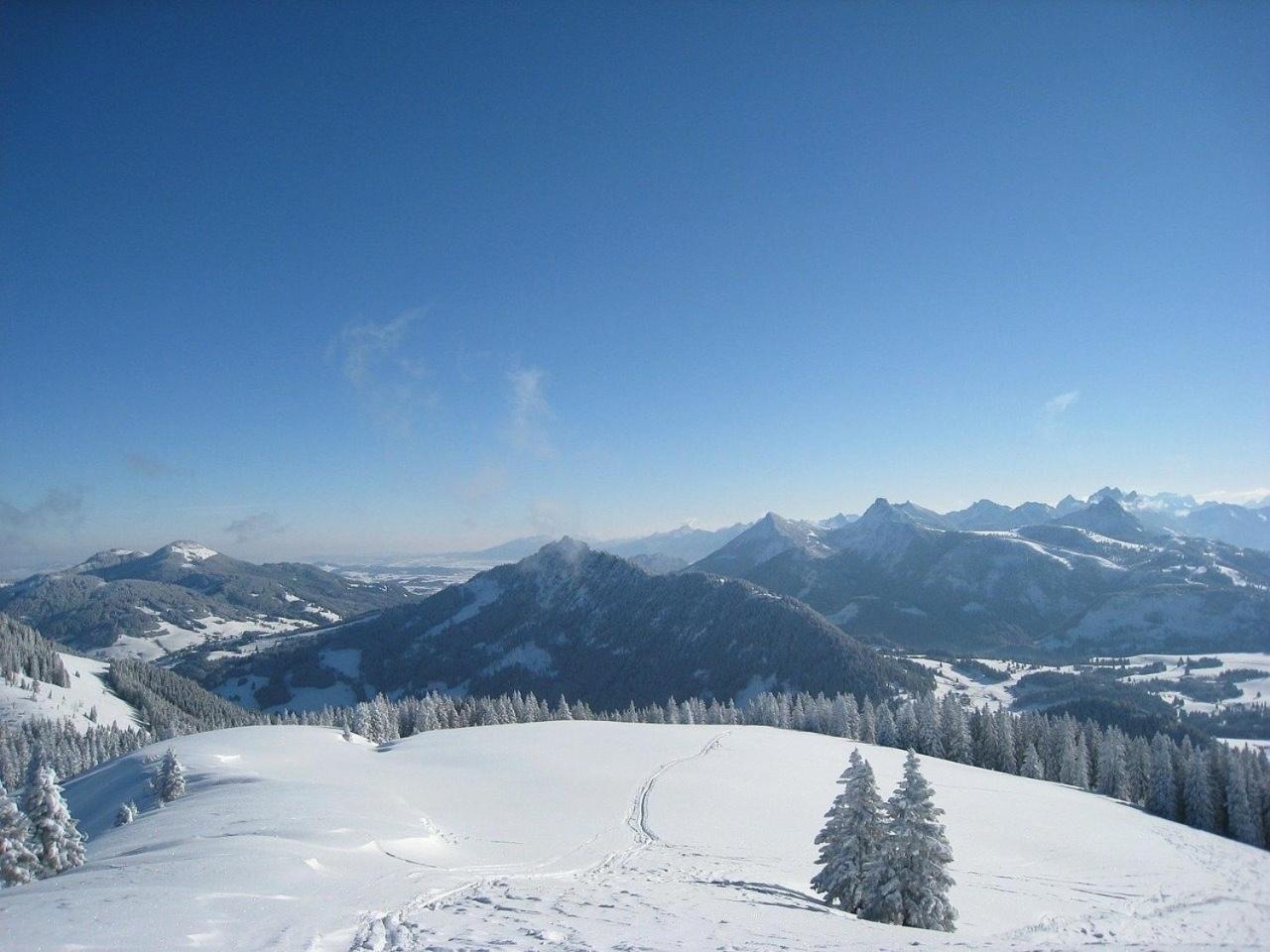 Appartement Nr 19, Alpenappartementhaus, Oberstaufen-Steibis, Allgaeu, Oberstaufen Plus Eksteriør bilde
